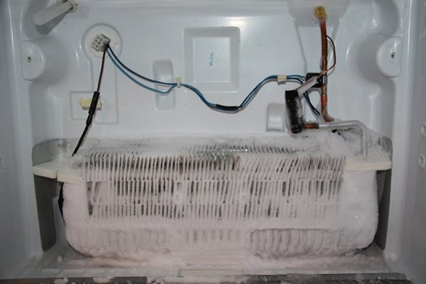 Cầu chì nhiệt bảo vệ tủ lạnh khỏi quá dòng