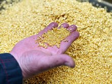 Cách tìm vàng dưới đất thông minh, hiệu quả nhất hiện nay