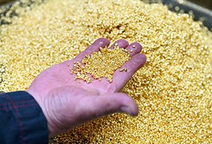 Cách tìm vàng dưới đất thông minh, hiệu quả nhất hiện nay