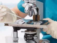 cách sử dụng kính hiển vi