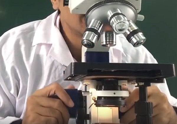 Các bước sử dụng kính hiển vi quang học: điều chỉnh