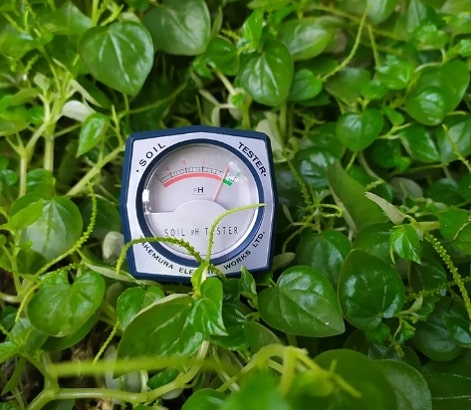 Top 5 bút đo pH đất bán chạy cho nhà vườn, viện cây giống