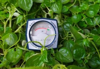 Top 5 bút đo pH đất bán chạy cho nhà vườn, viện cây giống