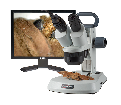 Độ phóng đại của kính hiển vi