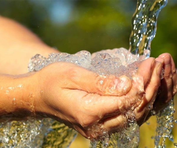 Độ mặn của nước ảnh hưởng đến quá trình sinh hoạt