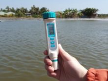 Máy đo độ mặn và nhiệt độ Extech EC170