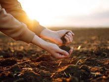 Xác định độ mặn cúa đất