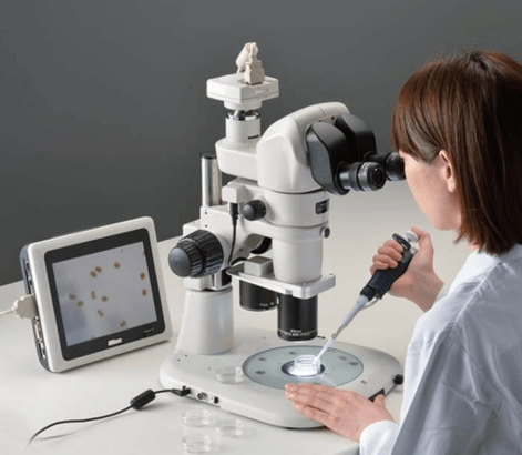 Khi nào nên dùng kính hiển vi có màn hình?