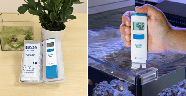 Bút đo độ mặn Hanna HI98319