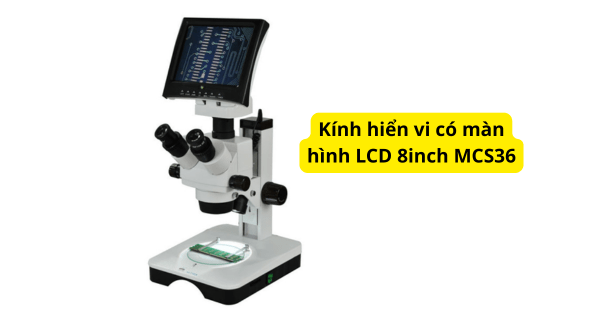 Kính hiển vi có màn hình LCD 8inch MCS36