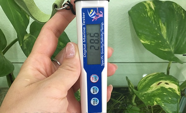 Bút đo nhanh, chính xác, nhiều tính năng