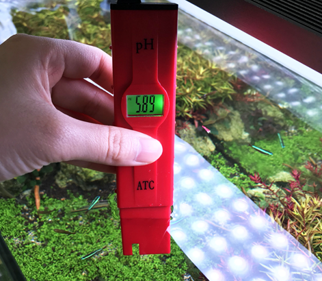 Top 5 máy đo pH nước hồ cá chính xác, giá tốt